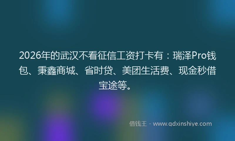 2026年的武汉不看征信工资打卡有：瑞泽Pro钱包、秉鑫商城、省时贷、美团生活费、现金秒借宝途等。