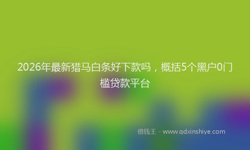 2026年最新猎马白条好下款吗，概括5个黑户0门槛贷款平台