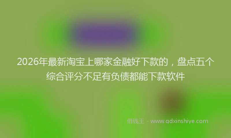 2026年最新淘宝上哪家金融好下款的，盘点五个综合评分不足有负债都能下款软件