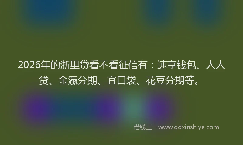 2026年的浙里贷看不看征信有：速享钱包、人人贷、金瀛分期、宜口袋、花豆分期等。