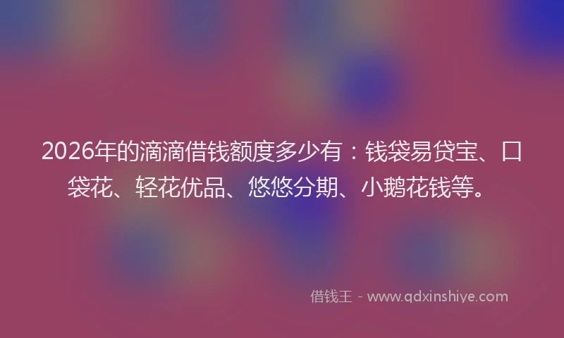 2026年的滴滴借钱额度多少有：钱袋易贷宝、口袋花、轻花优品、悠悠分期、小鹅花钱等。