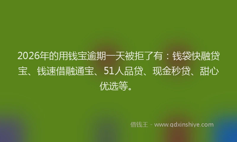 2026年的用钱宝逾期一天被拒了有：钱袋快融贷宝、钱速借融通宝、51人品贷、现金秒贷、甜心优选等。