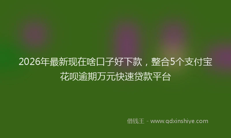 2026年最新现在啥口子好下款，整合5个支付宝花呗逾期万元快速贷款平台