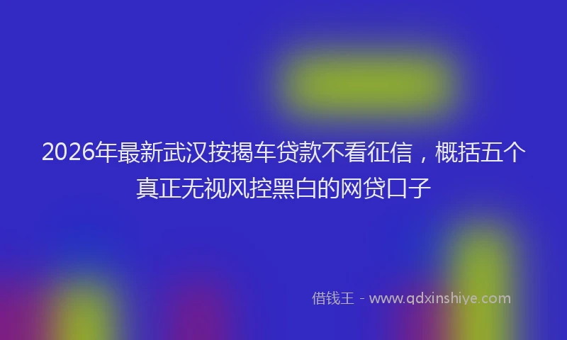 2026年最新武汉按揭车贷款不看征信，概括五个真正无视风控黑白的网贷口子