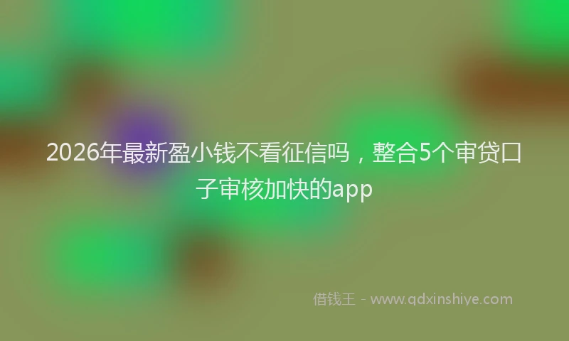 2026年最新盈小钱不看征信吗，整合5个审贷口子审核加快的app