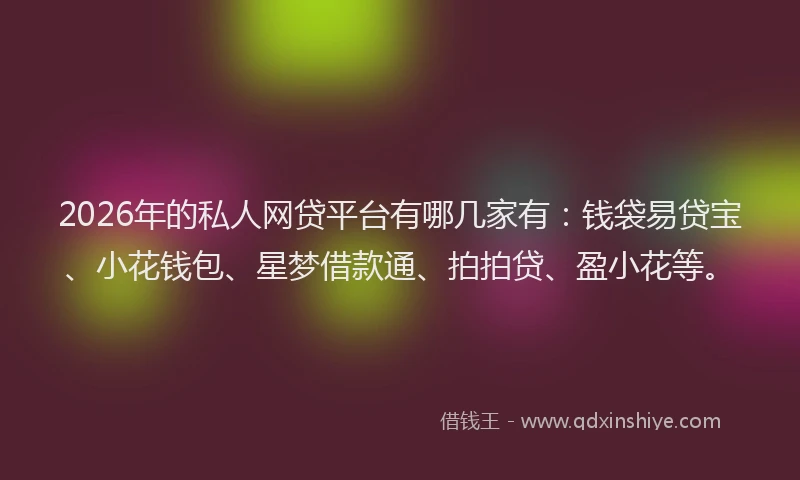 2026年的私人网贷平台有哪几家有：钱袋易贷宝、小花钱包、星梦借款通、拍拍贷、盈小花等。
