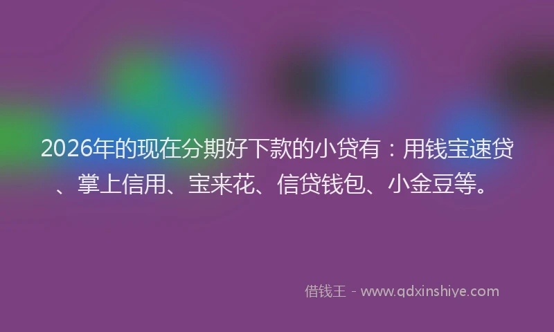 2026年的现在分期好下款的小贷有：用钱宝速贷、掌上信用、宝来花、信贷钱包、小金豆等。