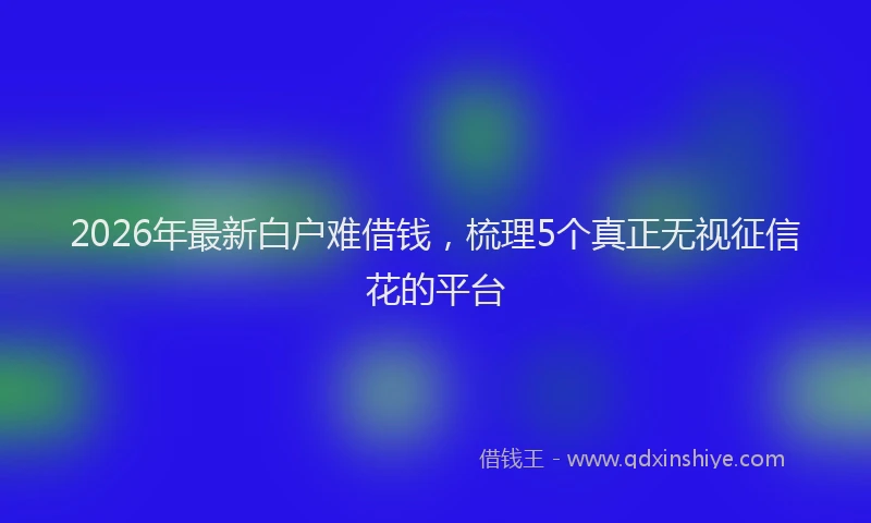 2026年最新白户难借钱，梳理5个真正无视征信花的平台