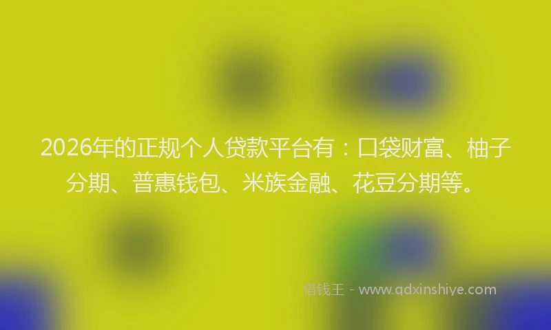 2026年的正规个人贷款平台有：口袋财富、柚子分期、普惠钱包、米族金融、花豆分期等。