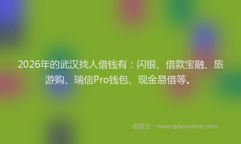2026年的武汉找人借钱有：闪银、借款宝融、旅游购、瑞信Pro钱包、现金易借等。