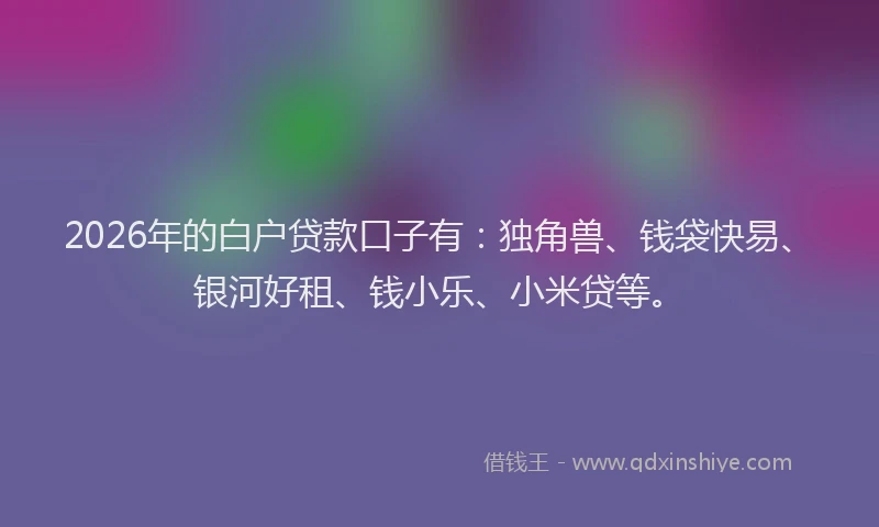 2026年的白户贷款口子有：独角兽、钱袋快易、银河好租、钱小乐、小米贷等。