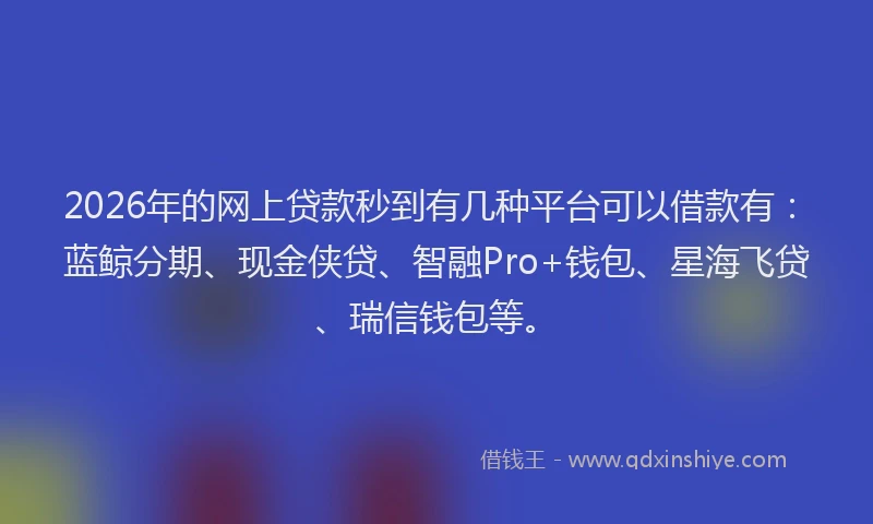 2026年的网上贷款秒到有几种平台可以借款有：蓝鲸分期、现金侠贷、智融Pro+钱包、星海飞贷、瑞信钱包等。