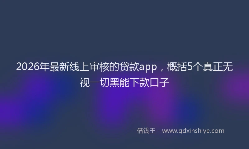 2026年最新线上审核的贷款app，概括5个真正无视一切黑能下款口子