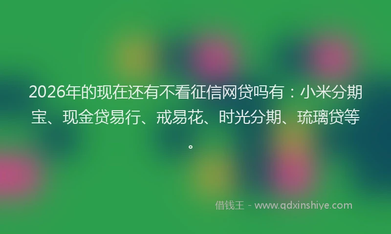 2026年的现在还有不看征信网贷吗有：小米分期宝、现金贷易行、戒易花、时光分期、琉璃贷等。