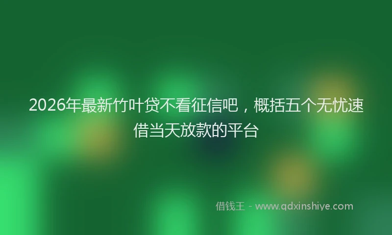 2026年最新竹叶贷不看征信吧，概括五个无忧速借当天放款的平台