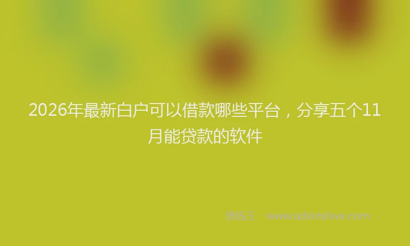 2026年最新白户可以借款哪些平台，分享五个11月能贷款的软件
