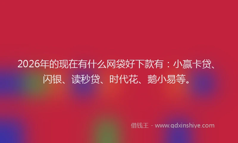 2026年的现在有什么网袋好下款有：小赢卡贷、闪银、读秒贷、时代花、鹅小易等。