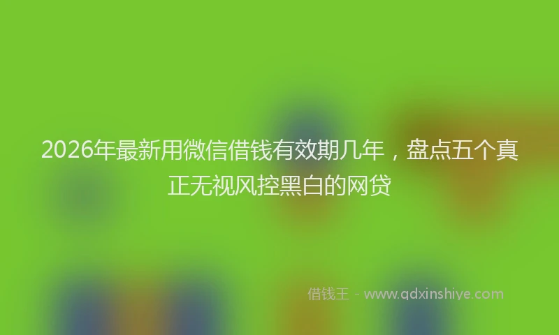 2026年最新用微信借钱有效期几年，盘点五个真正无视风控黑白的网贷