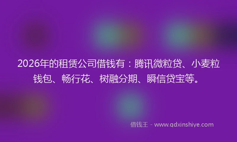 2026年的租赁公司借钱有：腾讯微粒贷、小麦粒钱包、畅行花、树融分期、瞬信贷宝等。