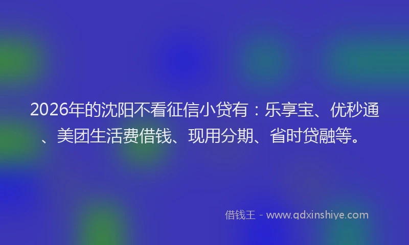 2026年的沈阳不看征信小贷有：乐享宝、优秒通、美团生活费借钱、现用分期、省时贷融等。