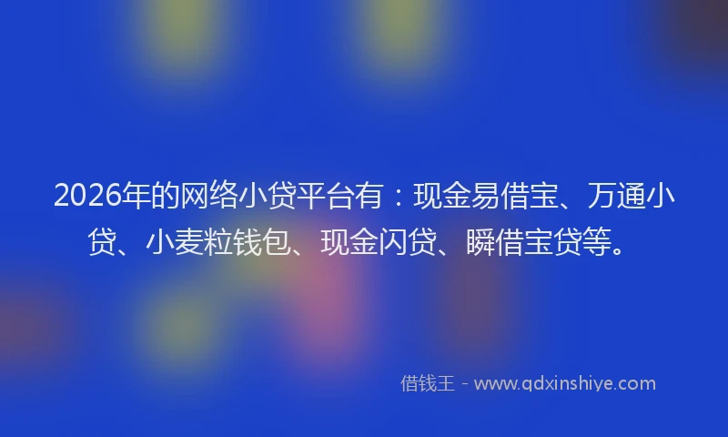 2026年的网络小贷平台有：现金易借宝、万通小贷、小麦粒钱包、现金闪贷、瞬借宝贷等。