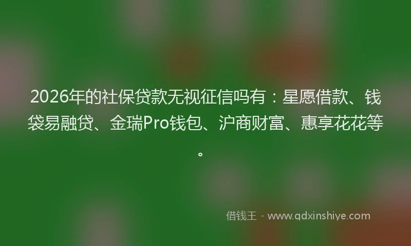 2026年的社保贷款无视征信吗有：星愿借款、钱袋易融贷、金瑞Pro钱包、沪商财富、惠享花花等。