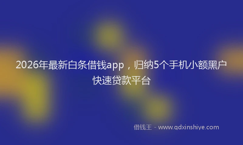 2026年最新白条借钱app，归纳5个手机小额黑户快速贷款平台