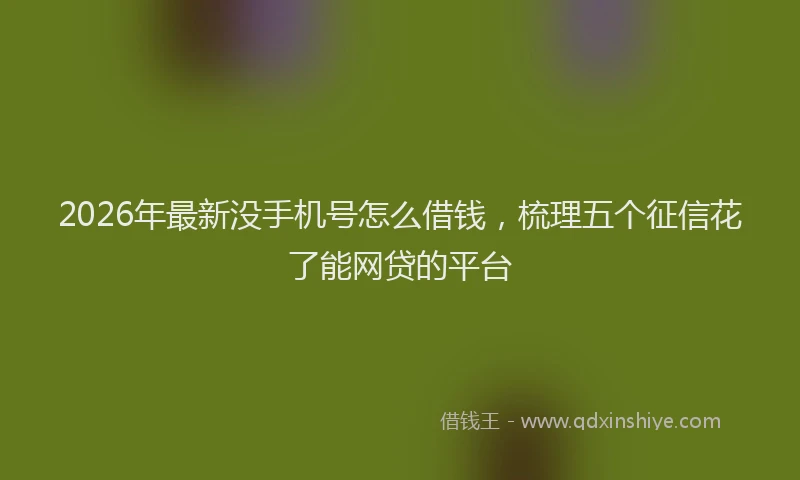 2026年最新没手机号怎么借钱，梳理五个征信花了能网贷的平台