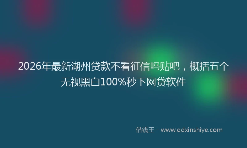 2026年最新湖州贷款不看征信吗贴吧，概括五个无视黑白100%秒下网贷软件