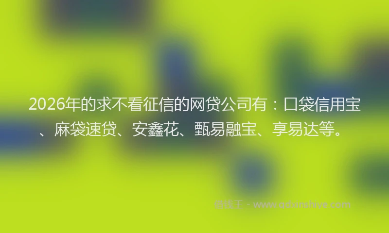 2026年的求不看征信的网贷公司有：口袋信用宝、麻袋速贷、安鑫花、甄易融宝、享易达等。