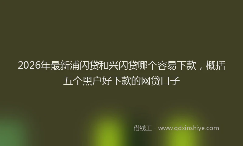 2026年最新浦闪贷和兴闪贷哪个容易下款，概括五个黑户好下款的网贷口子