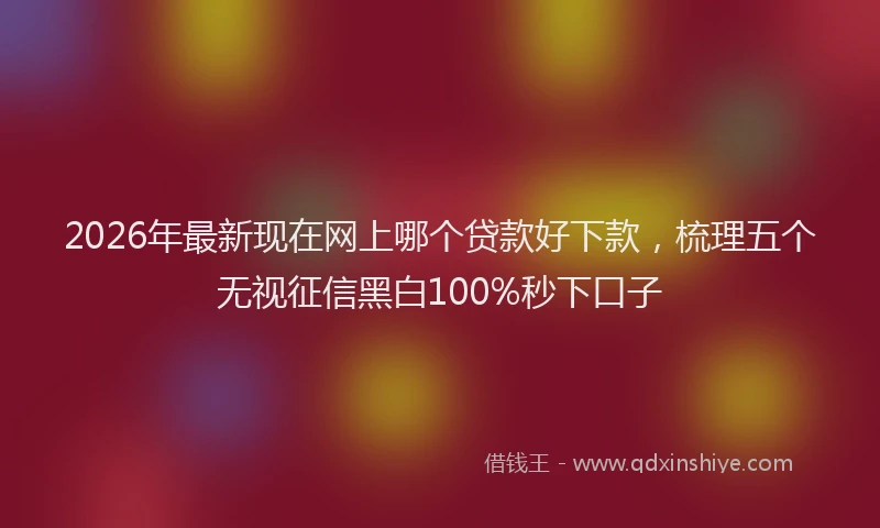 2026年最新现在网上哪个贷款好下款，梳理五个无视征信黑白100%秒下口子