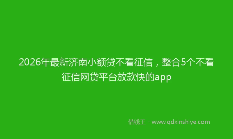 2026年最新济南小额贷不看征信，整合5个不看征信网贷平台放款快的app