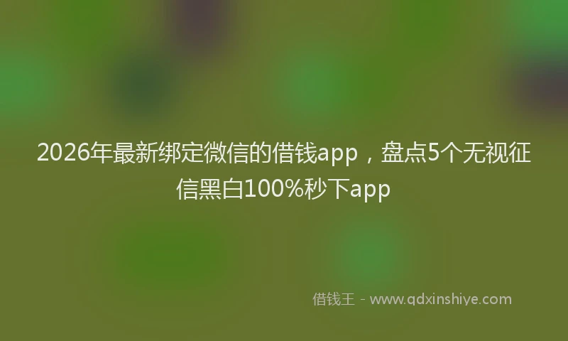 2026年最新绑定微信的借钱app，盘点5个无视征信黑白100%秒下app