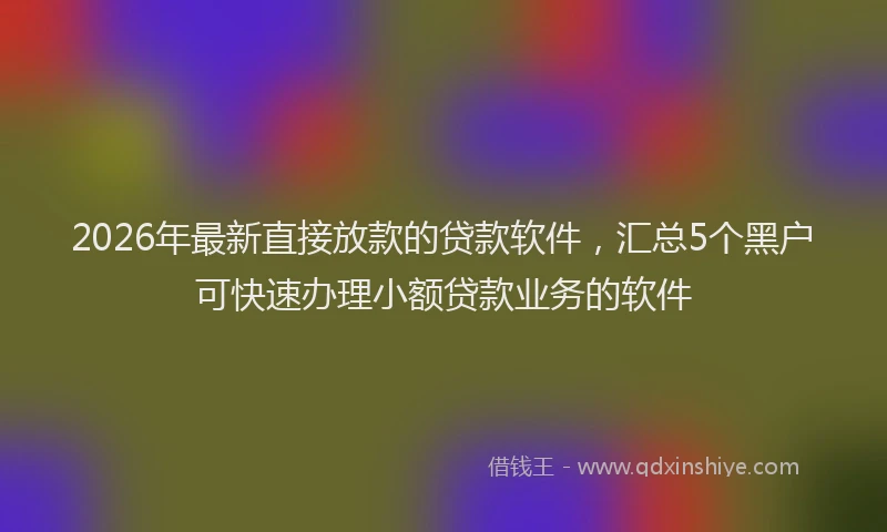 2026年最新直接放款的贷款软件，汇总5个黑户可快速办理小额贷款业务的软件