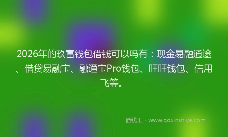 2026年的玖富钱包借钱可以吗有：现金易融通途、借贷易融宝、融通宝Pro钱包、旺旺钱包、信用飞等。