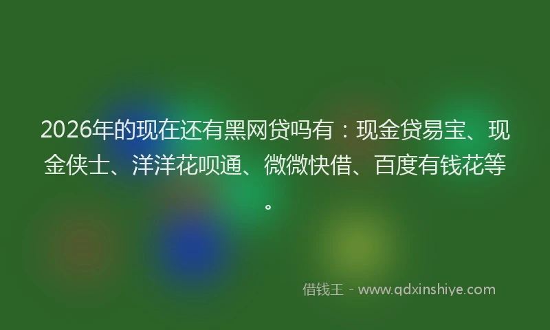 2026年的现在还有黑网贷吗有：现金贷易宝、现金侠士、洋洋花呗通、微微快借、百度有钱花等。
