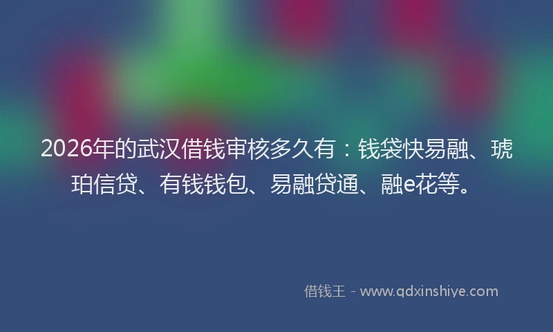 2026年的武汉借钱审核多久有：钱袋快易融、琥珀信贷、有钱钱包、易融贷通、融e花等。
