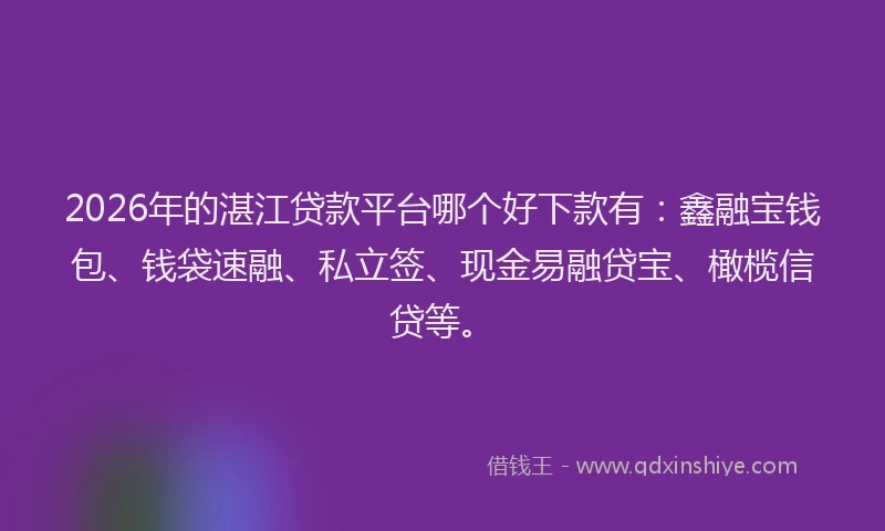 2026年的湛江贷款平台哪个好下款有：鑫融宝钱包、钱袋速融、私立签、现金易融贷宝、橄榄信贷等。