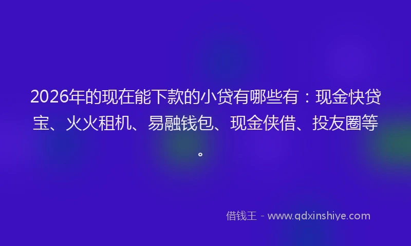 2026年的现在能下款的小贷有哪些有：现金快贷宝、火火租机、易融钱包、现金侠借、投友圈等。