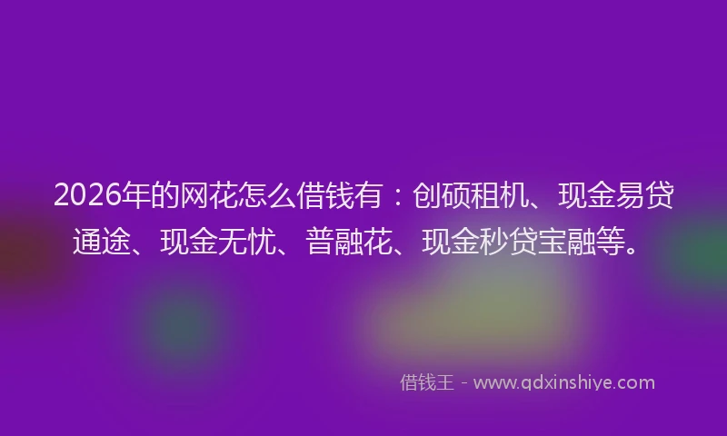 2026年的网花怎么借钱有：创硕租机、现金易贷通途、现金无忧、普融花、现金秒贷宝融等。