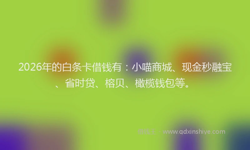 2026年的白条卡借钱有：小喵商城、现金秒融宝、省时贷、榕贝、橄榄钱包等。