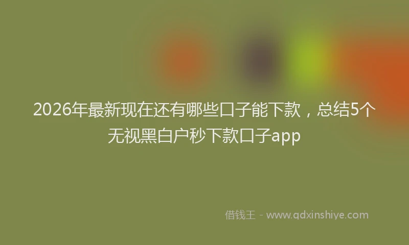 2026年最新现在还有哪些口子能下款，总结5个无视黑白户秒下款口子app