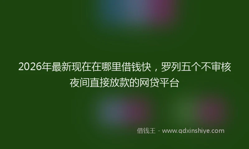 2026年最新现在在哪里借钱快，罗列五个不审核夜间直接放款的网贷平台