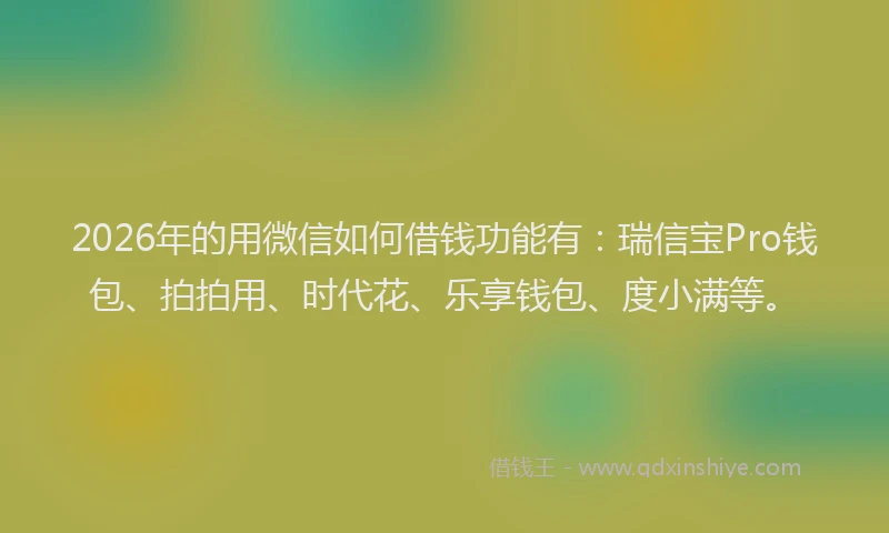 2026年的用微信如何借钱功能有：瑞信宝Pro钱包、拍拍用、时代花、乐享钱包、度小满等。