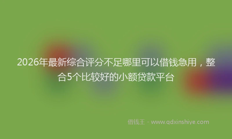 2026年最新综合评分不足哪里可以借钱急用，整合5个比较好的小额贷款平台