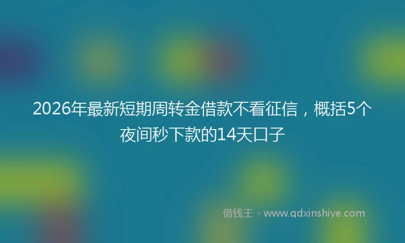 2026年最新短期周转金借款不看征信，概括5个夜间秒下款的14天口子