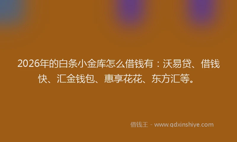 2026年的白条小金库怎么借钱有：沃易贷、借钱快、汇金钱包、惠享花花、东方汇等。