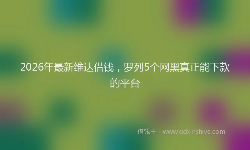 2026年最新维达借钱，罗列5个网黑真正能下款的平台