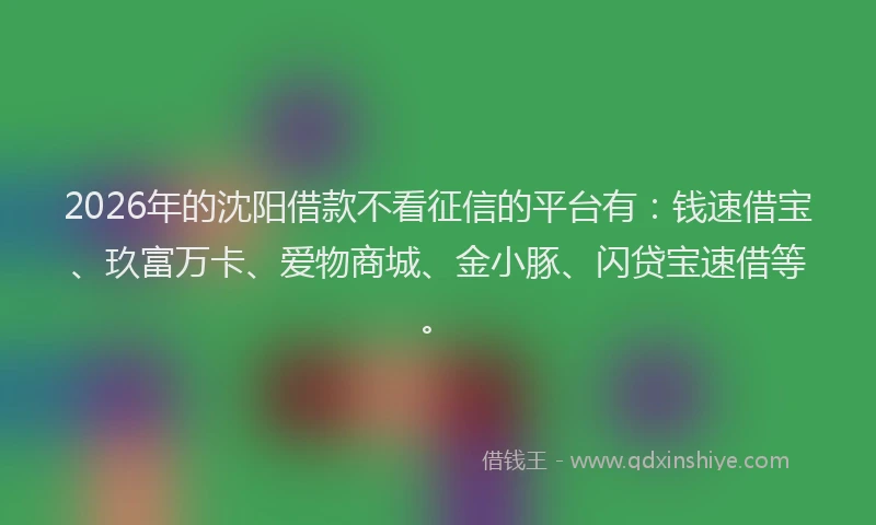 2026年的沈阳借款不看征信的平台有：钱速借宝、玖富万卡、爱物商城、金小豚、闪贷宝速借等。
